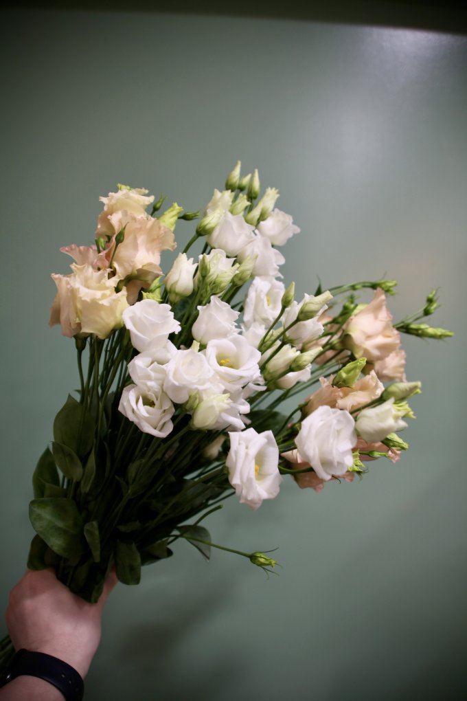 Le lisianthus photo 2